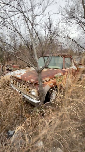 302 reactions · 39 shares | Saving this old stepside from a long term vacation in an old yard. The plan is to give it a long overdue refurbishment and get it back to its former glory. #ford #trucks #hauling #towing #ASAP #Oklahoma | Fred Ashmore | Facebook