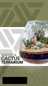 29K views · 1.2K reactions | My latest large cactus terrarium  #terrarium #terrariumdesign #terrariumlove #terrariumdreams #moss #howto #diy #fyp #terrariumsofinstagram #portland #cactus #succulents #beaverton #pdx #plantshop #local #smallbusiness #plantsplantsplants #plants #plantsmakepeoplehappy #plantsoffacebook | Johnathon Q Swanson | Facebook
