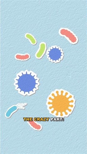 Why Anaplasmosis Is a Silent Tick Threat