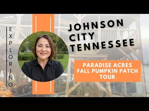 Is This the Cutest Pumpkin Patch Ever?