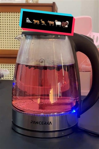 Discover Crystal Clear Water for Perfect Brews