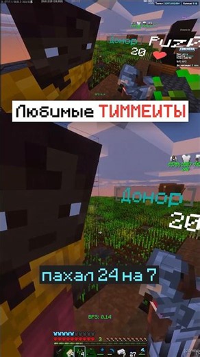 THEY Are Communicating So CUTE On Minecraft Anarchy