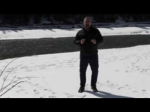 Functional Writing -The Task