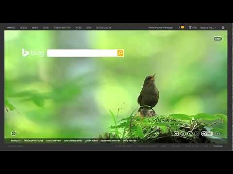 Cute Opera Bird featured in Bing