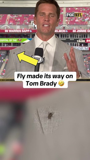 Tom Brady's Unlikely Visitor: A Fly on His Shoulder