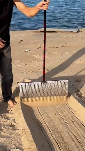 Beach Clean Up & Hidden Treasure: seashells & trash | Treasure & Beach CleanUp