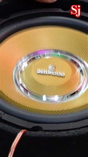 10" SUBWOOFER WORKING 😲
