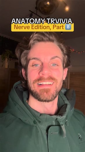 Eric Johnson | M.OMSc, BHK, OMP on Instagram: "Anatomy Trivia | Nerve Edition, Part 8️⃣ 🧐 What is the connecting branch and main nerve that creates the superior and inferior alveolar nerve? COMMENT YOUR ANSWER 💥💥💥💥💥💥💥💥💥 If you guessed the Trigeminal Nerve, you got it! The trigeminal nerve (Cranial Nerve V, or CN V) is the largest cranial nerve, responsible for sensation in the face (touch, pain, temperature) and motor control for chewing muscles; it branches into three main divisions: 