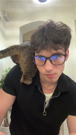 Exploring Unique Cat Cafes with Stylish Accessories