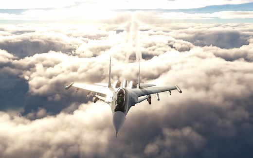 【DCS World】 Su-30 mod beta.V2 灰常不戳）