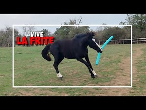 IT STILL BLOWS HIM OUT AS MUCH!