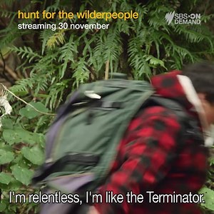 Homegrown Cinema | Film Collection