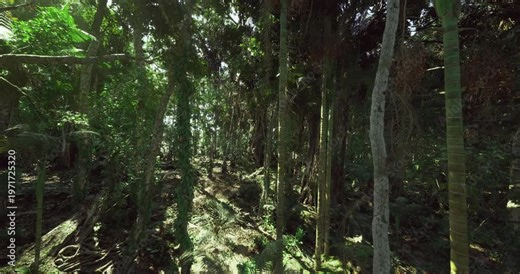 Request for text, Kindly supply full text you want rewritten, Share complete text so multiple versions can be created