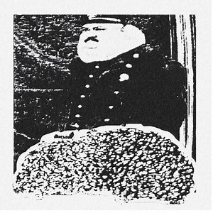 Acute Neurogenic - Acute Neurogenic - Blunt Force Vulnerbility of Human Liver Tissue