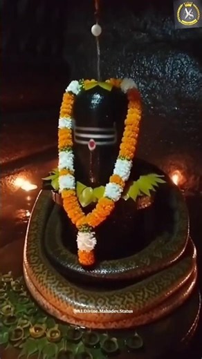 Mahashivratri Par Adbhut Drishya 😱 Shivling Ke Paas Shaant Python | Har Har Mahadev #Mahashivratri
