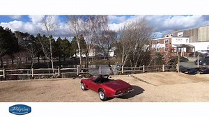 5.8K views · 164 reactions | The “little red corvette” or not so...