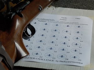 Winchester 52C Flyswatter Challenge