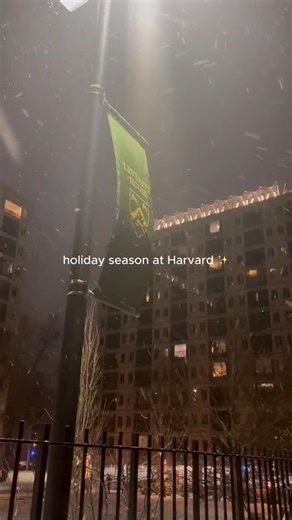 Harvard Alumni for Black Advancement on Instagram: "Happy holidays! Repost from @harvardcollegealumni That's a wrap on the fall semester! 🎁 Enjoy these festive sights across campus as students begin well-deserved holiday breaks. 🎥: Oksana Trefanenko ‘28"