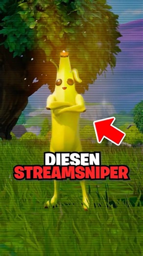 Erinnerst DU dich noch an diesen STREAMSNIPER..?😱