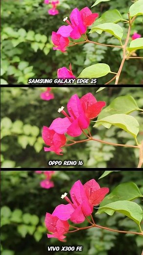 Samsung Galaxy Edge 25 Vs Oppo Reno 16 Vs Vivo x300 Fe Photography Test Ultimate Camera zoom 100x