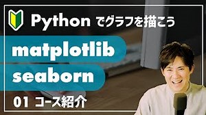 Pythonでグラフ化、可視化のレッスンの開始｜Matplotlib & Seaborn 入門コース