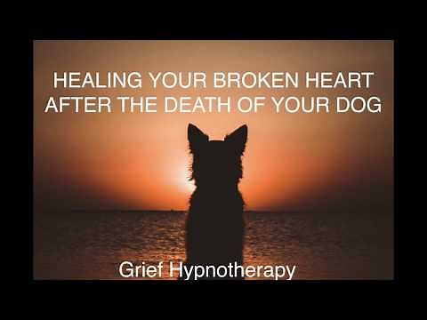 HEALING YOUR BROKEN HEART AFTER THE DEATH OF YOUR DOG
