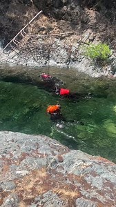 This week fisheries, wildlife, and hydrology technicians united to count fish, turtles, lamprey, salamanders and frogs. Divers are trained in fish, turtle, and frog identification prior to the dives. Divers also note any signs of beaver activity or birds of prey active in the area during the dives. The dive was coordinated by the Shasta-Trinity National Forest with participation of employees from the Weaverville and Redding offices of the California Department of Fish and Wildlife, the Redding F