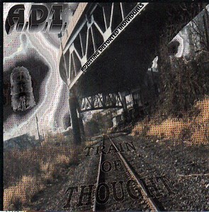 Adjusting Distorted Individuals - Train Of Thought