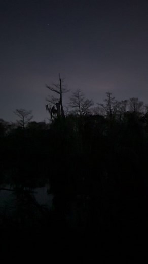 Nothing better than a swamp sunrise 😍. Da Landry Life Jacob Landry (swamp People) Troy Landry YETI Duffy’s Gas Station Swamp People on History Love The Landry's ( Swamp People ) Fan Group SWAMP PEOPLE - "Treeshakers" Ronnie Adams from Swamp People Don Brewer Cheyenne”pickle”Wheat Wiebe Knives Warthog Sharpeners USA Savage Arms Federal Premium Barnett #swamp #boat #cajunlife #landrys #swamppeople #reels #viral #creepy #swamp | Da Landry Life