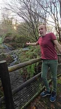 Landscaped Watercourse & Path #waterfall #gardens #permaculture #gardendesign #ideas #adventure #wow