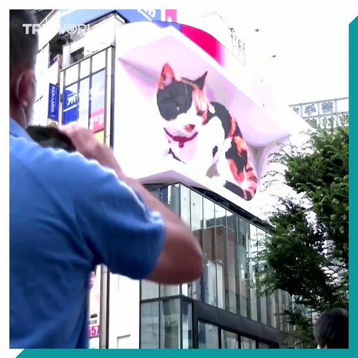 Giant 3D cat on Tokyo billboard stuns pedestrians