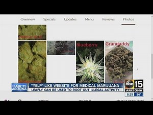 Leafly: A 'Yelp'-like website for marijuana