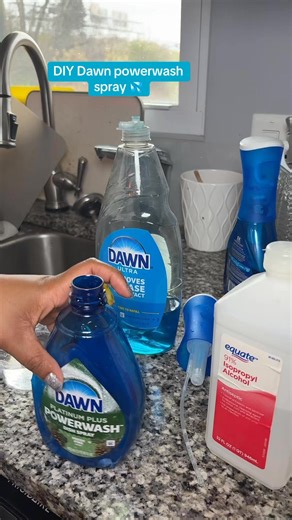 Therese Cleans Daily Living on Instagram: "DIY Dawn powerwash dish spray"