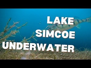 LAKE SIMCOE UNDERWATER FISHING VIDEO, March 2025
