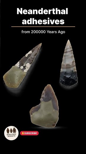 Neanderthal Adhesives