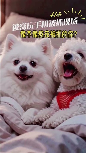 Did you smile when you saw the backup machine How many points would you give this move #Li