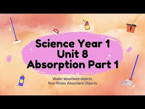 Science DLP Year 1 | Unit 8: Absorption (Part I)