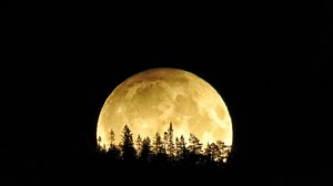 Are You Ready for the Full Moon? Here's How to Take the Best Photos