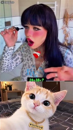 #CatFunny #FunnyCats #CuteCats #CatVideos #FannyAnimals #cats #kitten #CatLover #Cute
