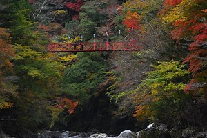 【べふ峡】紅葉天国な秘境！大自然が奏でる紅葉の披露会が綺麗だった。 | レペゼン高知