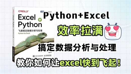 封神之作！《Excel Python飞速搞定数据分析与处理》建议想学Python的同学，都去死磕这本书！（数据分析|Python|Excel|数据处理教程）