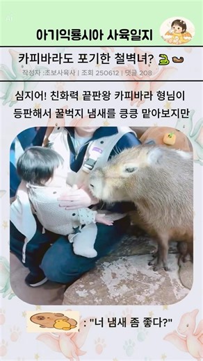 친화력 끝판왕 카피바라도 당황시킨 99% 철벽 아기