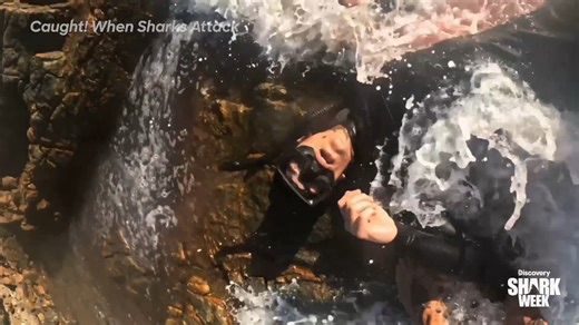 There's mere minutes between life and death after a snorkeler gets attacked by a large shark... #SharkWeek continues with Caught! When Sharks Attack NOW on Discovery. | Shark Week