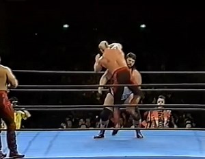 1.7K views · 36 reactions | WWF Tag Team Title Match Champions Legion of Doom vs Challengers Natural Disasters SWS in Tokyo December 12, 1991 | IDieGaming | Facebook