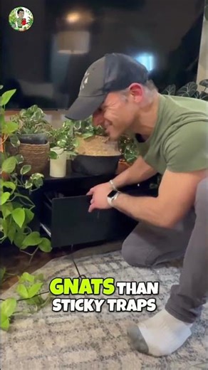Fungus Gnats BEWARE: This Bug Zapper DESTROYS Them ⚡🪰
