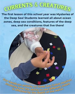 Reef Relief on Reels