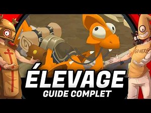 COMPLETE GUIDE TO BREEDING ON DOFUS 3.5 (EASY FROM SCRATCH)