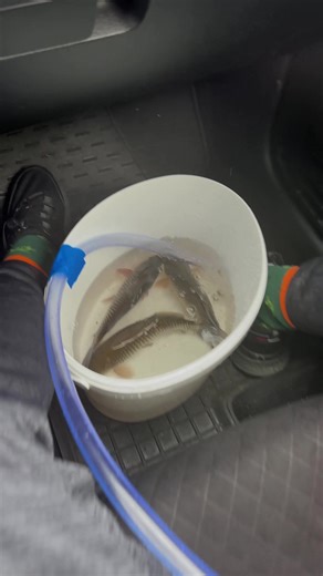 Smart Fishing Hack | Panda Curioso