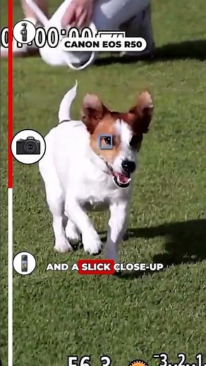 This Budget Vlogging Camera Changes Everything – Best Picks for 2025