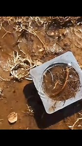 198K views · 1.5K reactions | Denis Casanova on Reels | Facebook